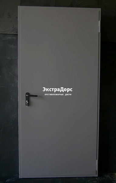 Дверь металлическая противопожарная EI 60 ДПМ 2 типа серая во Фрязино  купить